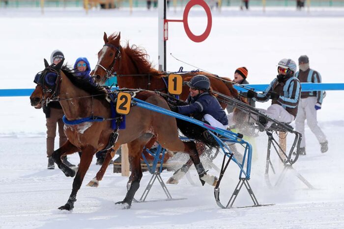 White Turf St. Moritz 2022 – 1. Race Sunday