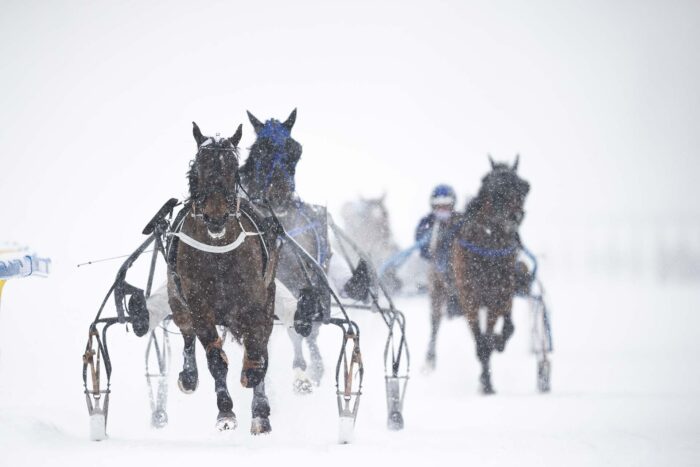 White Turf St. Moritz 2025 - 2. Rennsonntag
