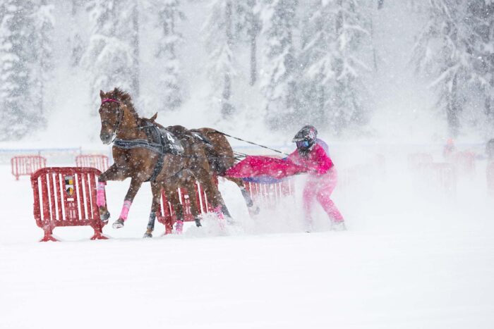 White Turf St. Moritz 2025 - 2. Rennsonntag