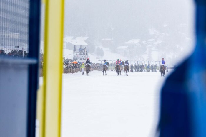 White Turf St. Moritz 2025 - 2. Rennsonntag