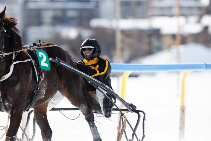 White Turf St. Moritz 2026 - 1. Rennsonntag
