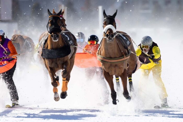 White Turf St. Moritz 2026 - 2. Rennsonntag